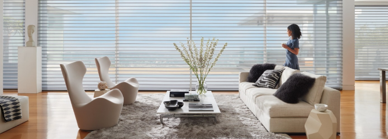 Hunter Douglas Silhouette® Shadings