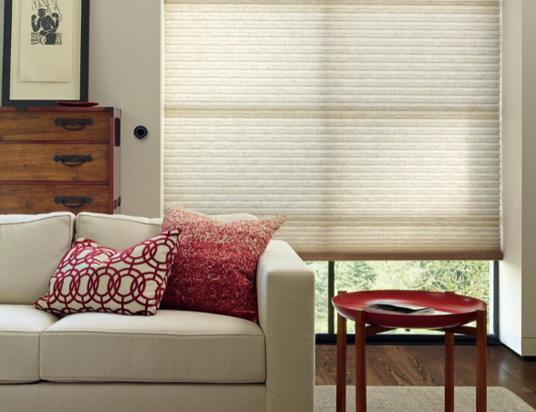 Cream Honeycomb Shades in sitting room