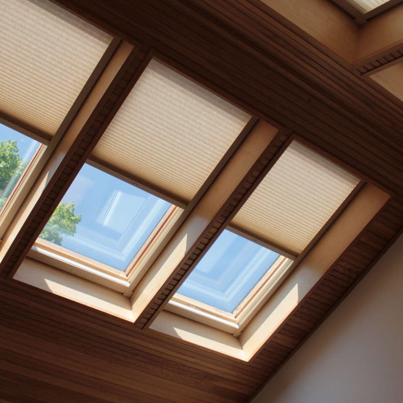 Bright interior skylights showing natural sunlight and blue sky with green tree outside.